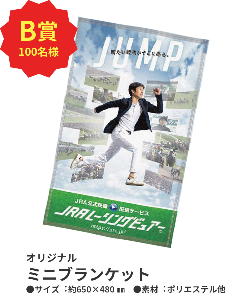 ミニブランケット